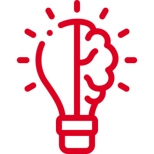 Icon Erfahrung NEU